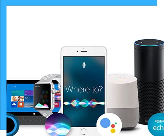 Optimize your business for voice searches on Alexa, Google Assistant and others.